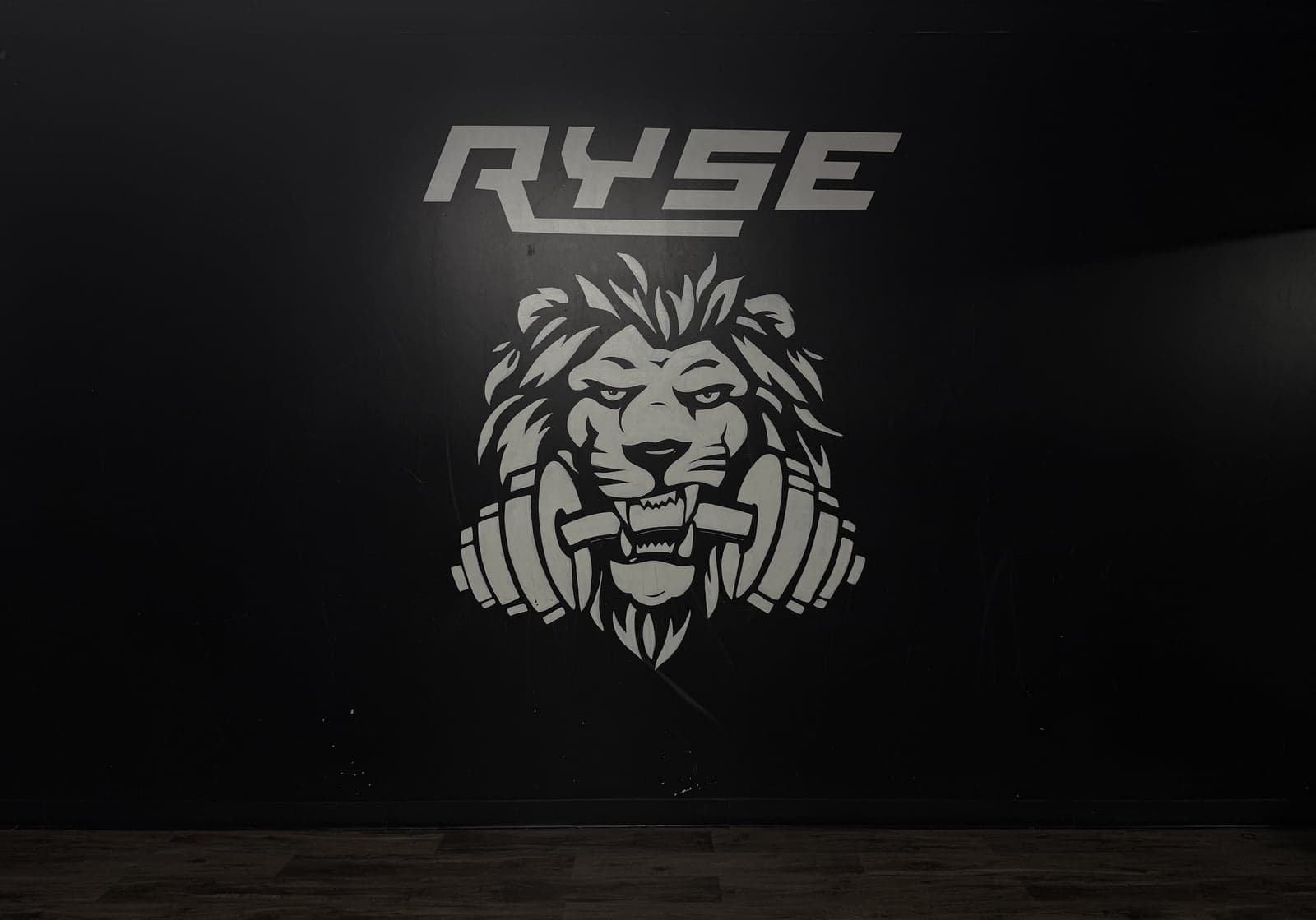 Ryse Athletic Club 32